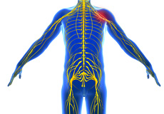 Peripheral Nerve Compression