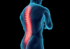 Spine Comprehensive Medicine