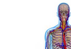 Thoracic Outlet Syndrome